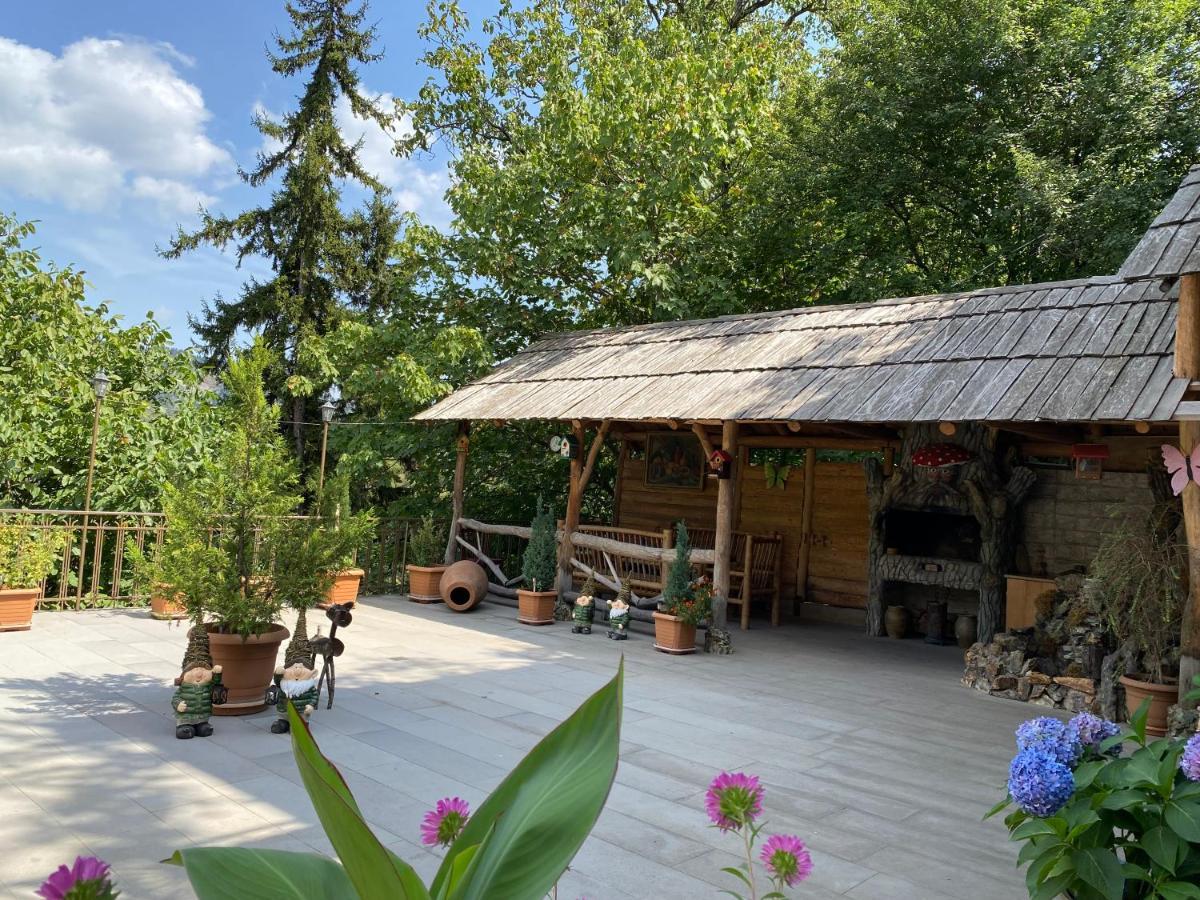 Anano'S Guesthouse Borjomi Bagian luar foto