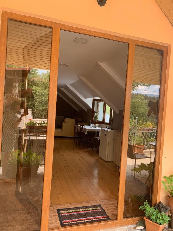 Anano'S Guesthouse Borjomi Bagian luar foto
