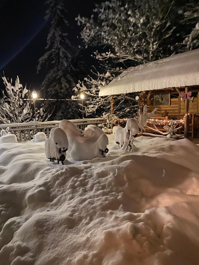 Anano'S Guesthouse Borjomi Bagian luar foto