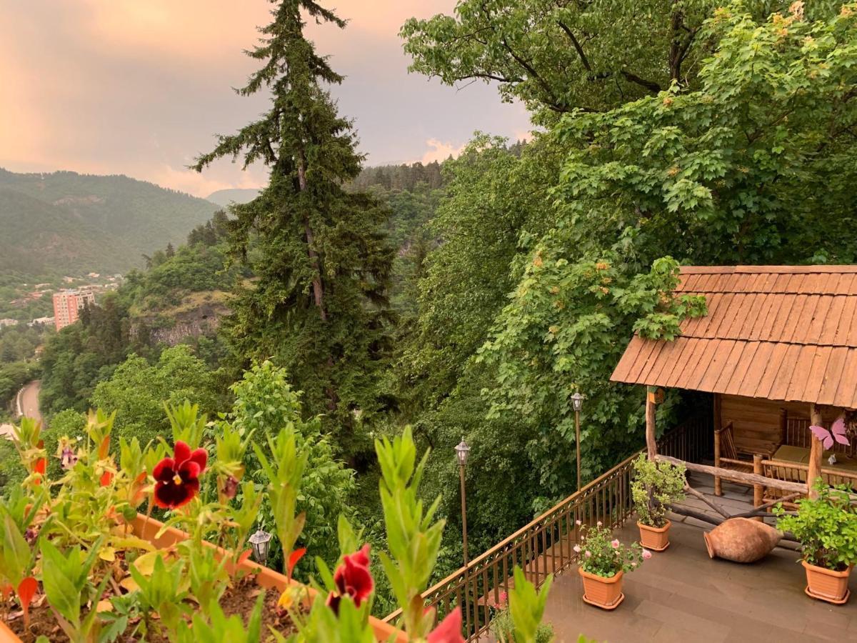Anano'S Guesthouse Borjomi Bagian luar foto