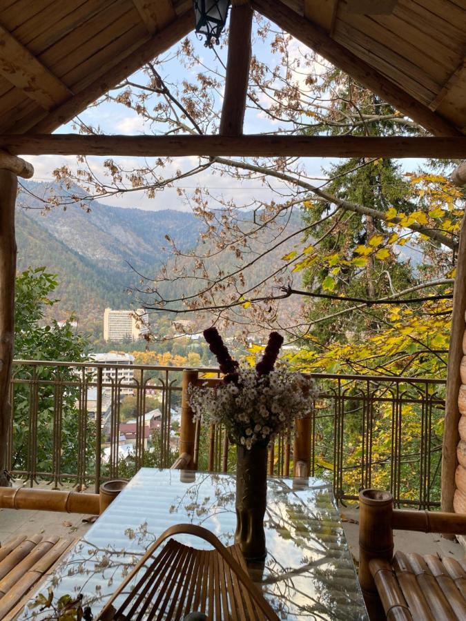 Anano'S Guesthouse Borjomi Bagian luar foto
