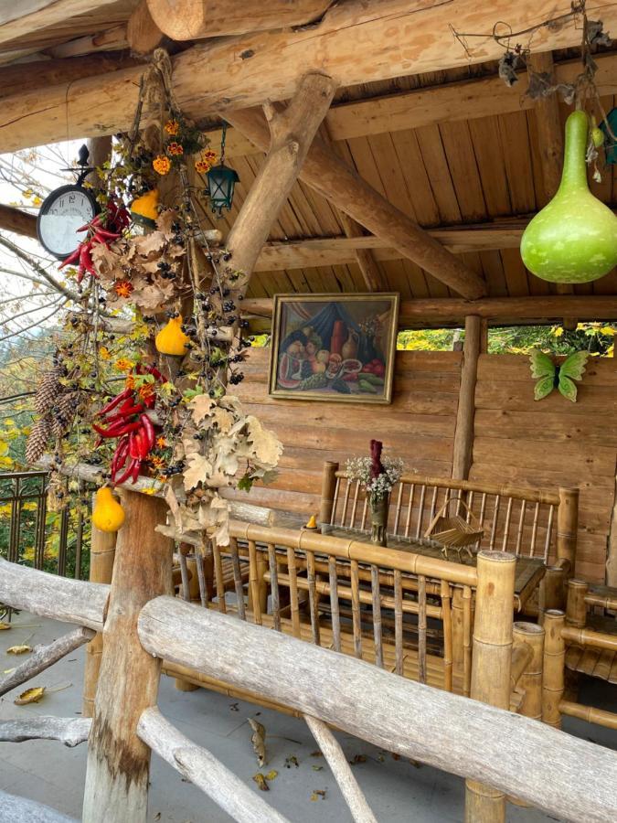 Anano'S Guesthouse Borjomi Bagian luar foto