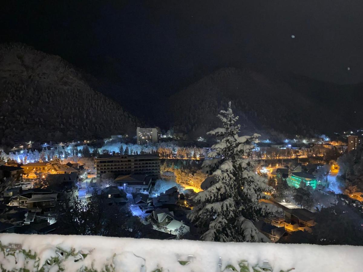 Anano'S Guesthouse Borjomi Bagian luar foto