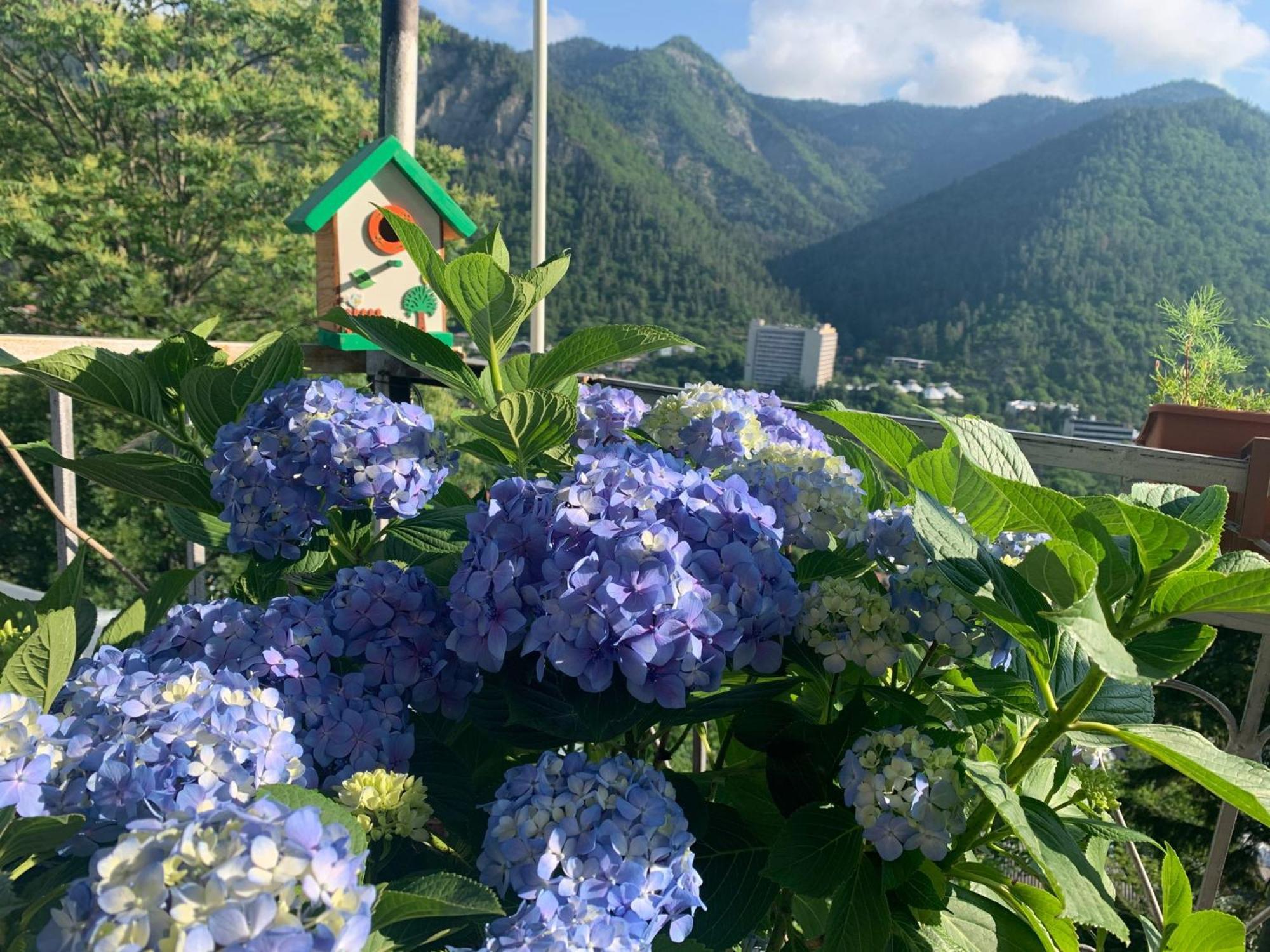 Anano'S Guesthouse Borjomi Bagian luar foto