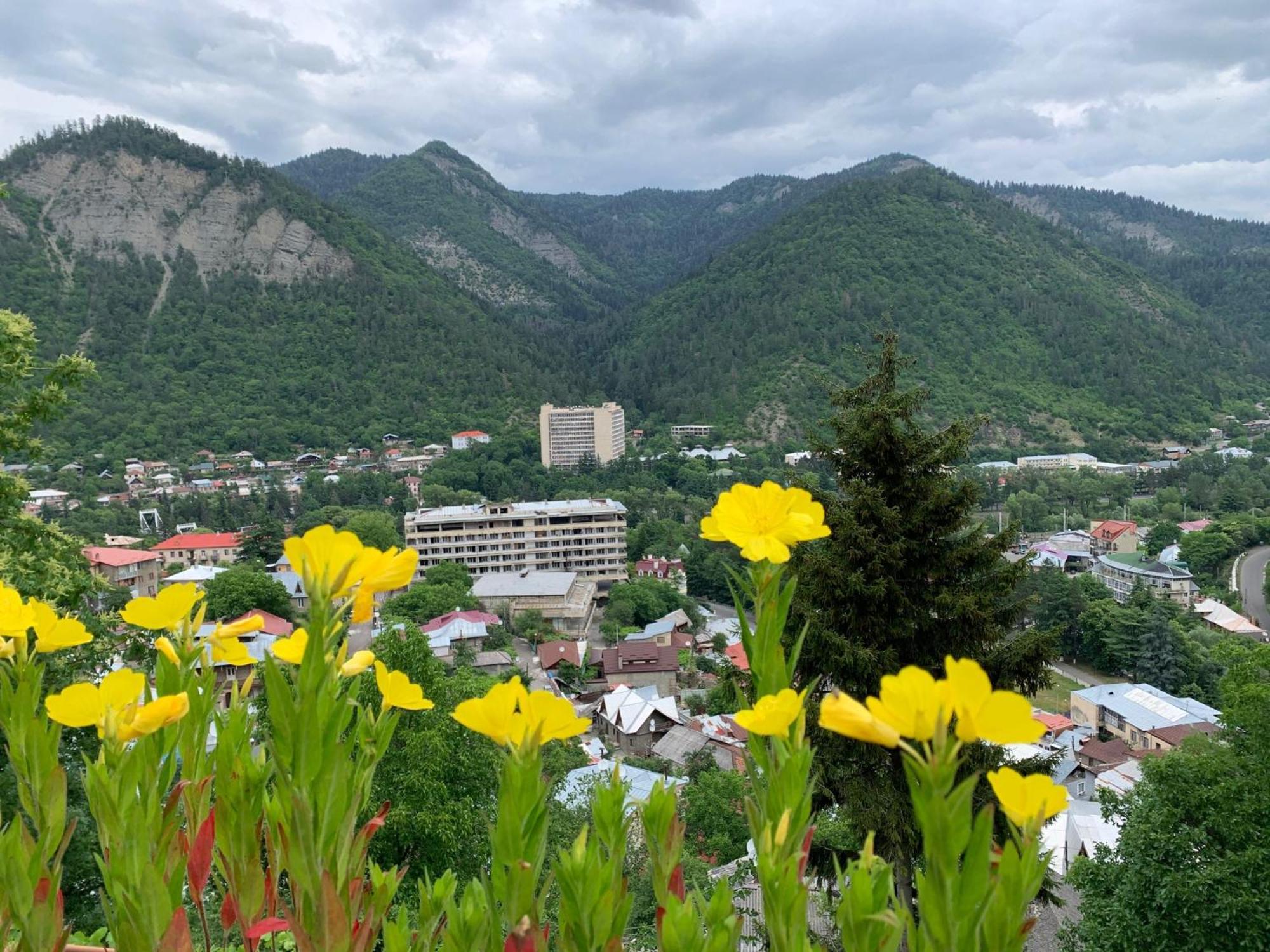 Anano'S Guesthouse Borjomi Bagian luar foto