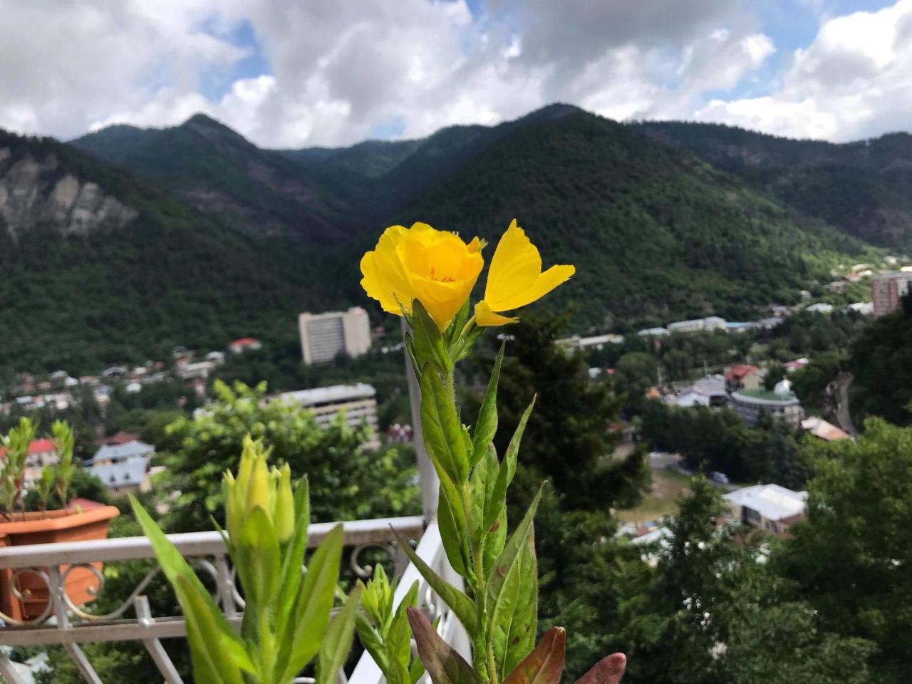 Anano'S Guesthouse Borjomi Bagian luar foto
