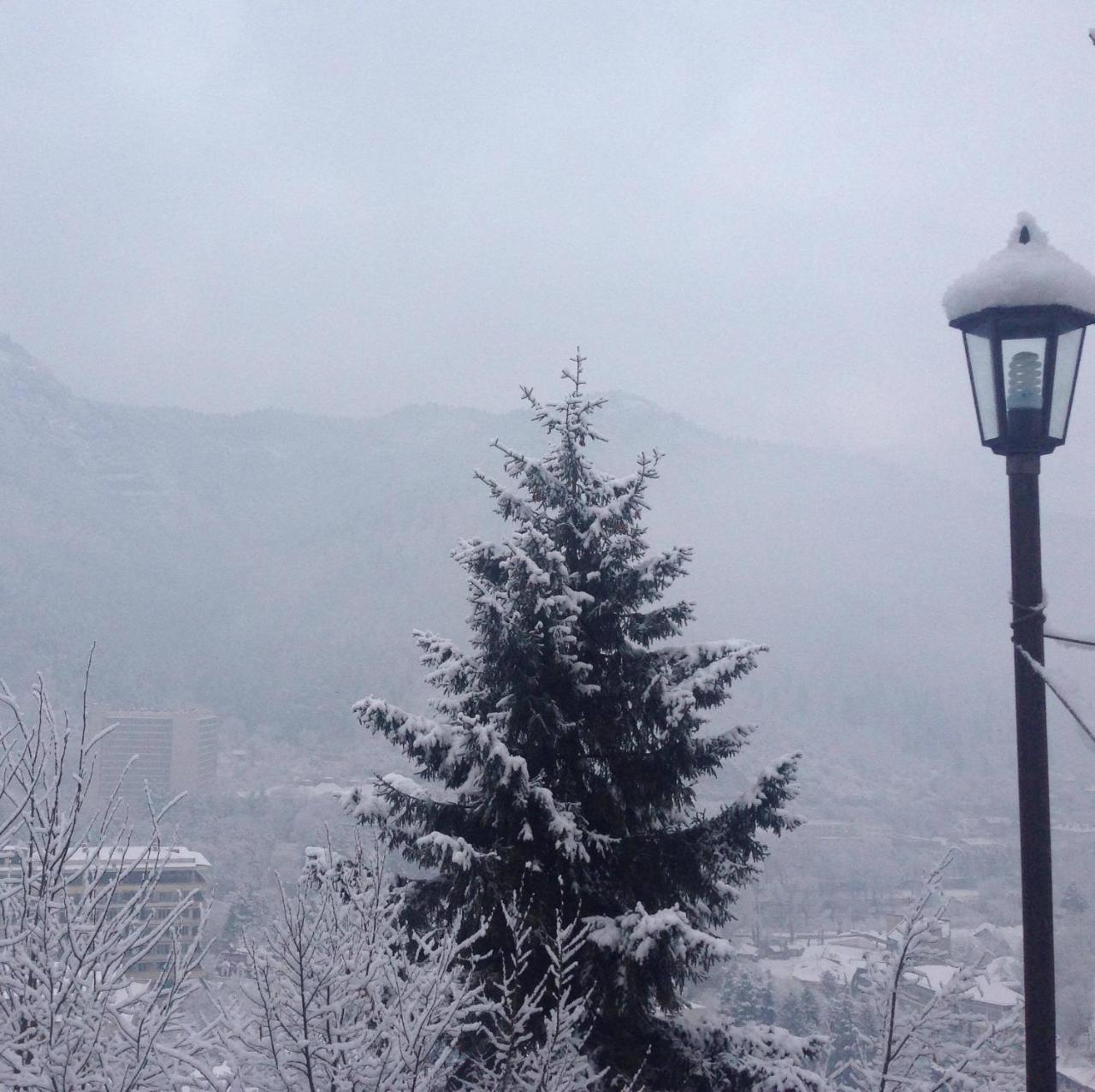 Anano'S Guesthouse Borjomi Bagian luar foto