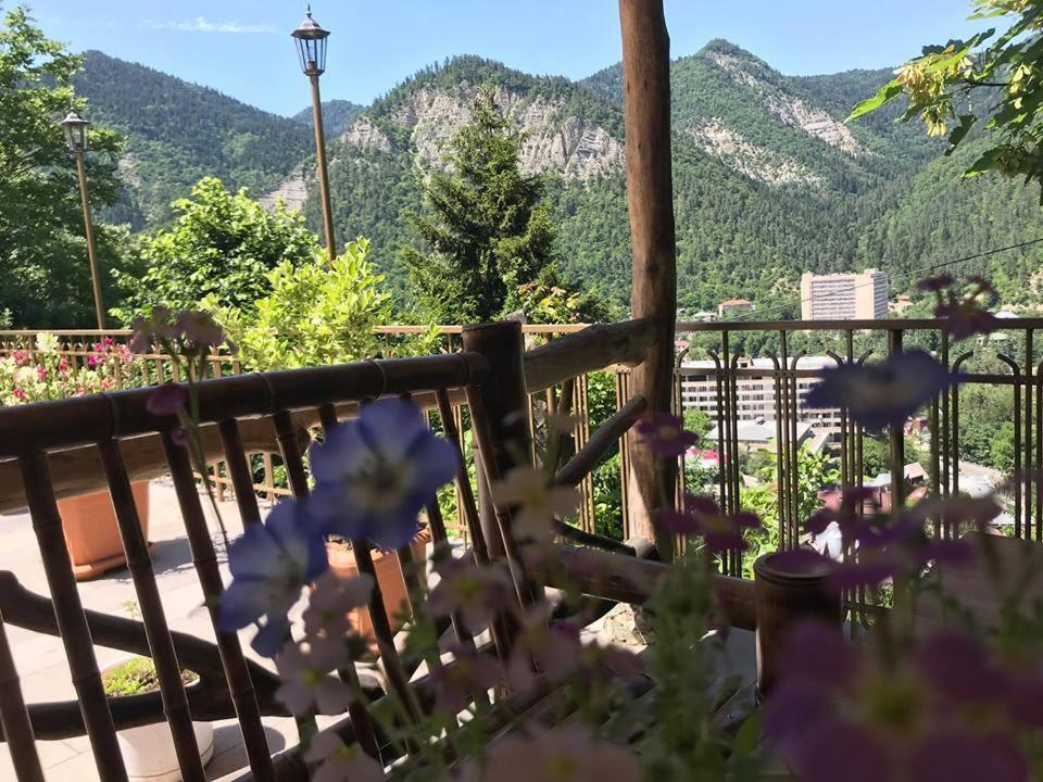 Anano'S Guesthouse Borjomi Bagian luar foto
