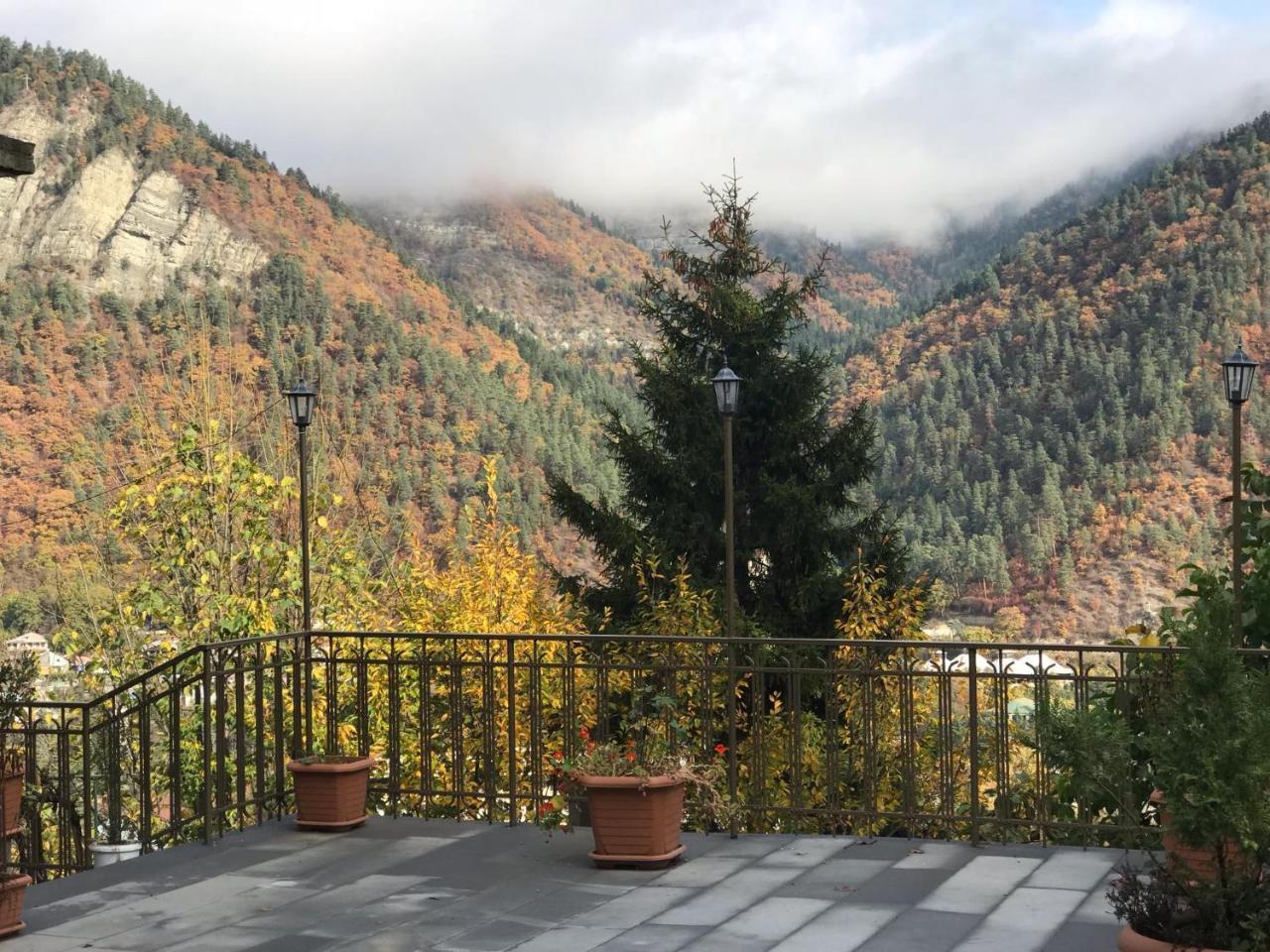 Anano'S Guesthouse Borjomi Bagian luar foto