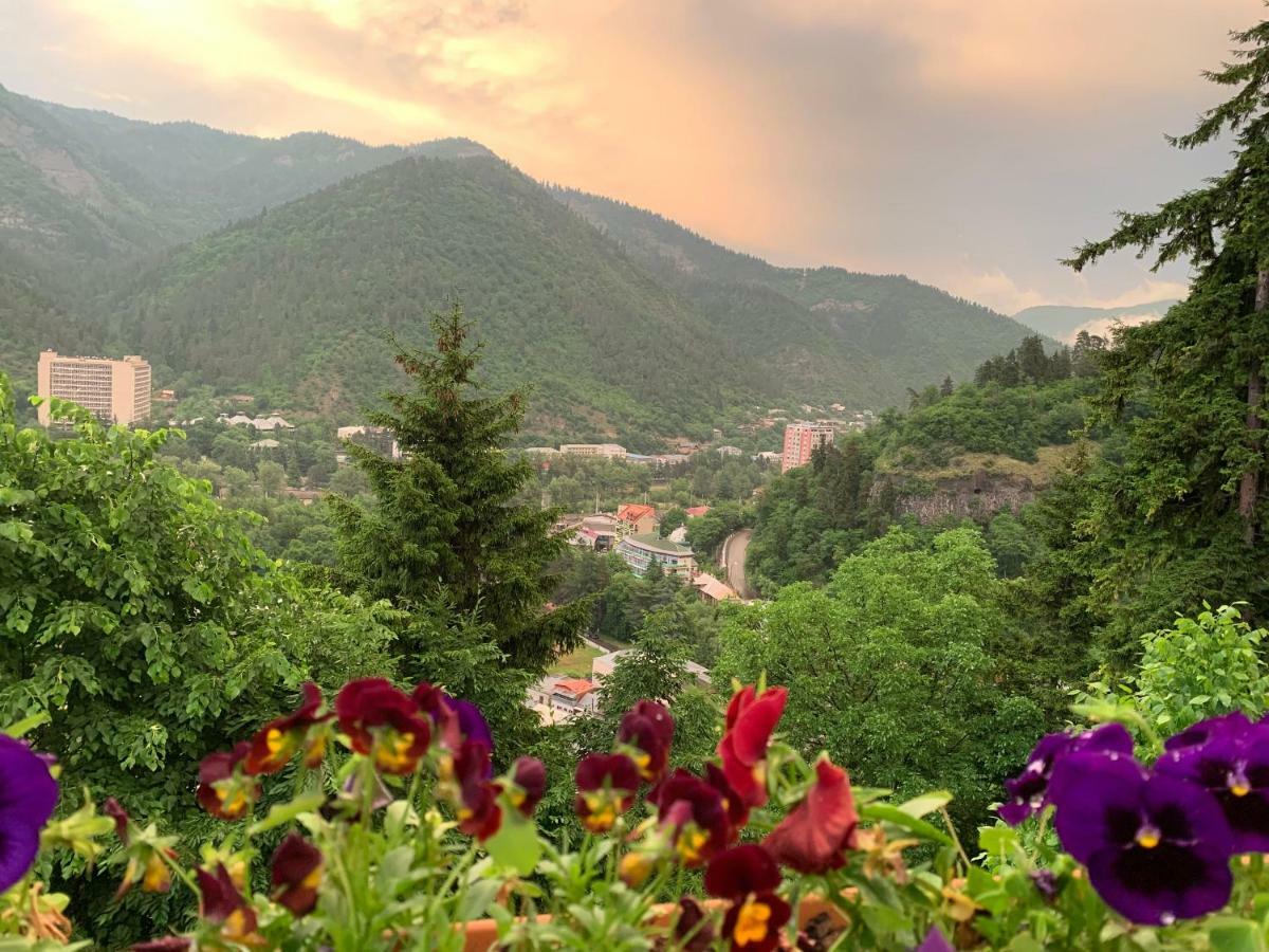 Anano'S Guesthouse Borjomi Bagian luar foto